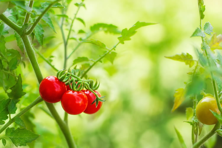 60068e68b6e35.jpg 01.jpg