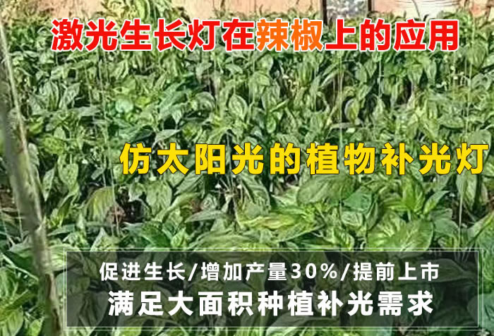 600832a9e5d02.jpg 01.jpg