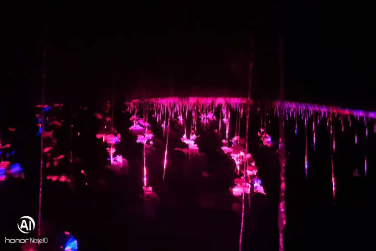 600a78fec51ce.jpg 01.jpg