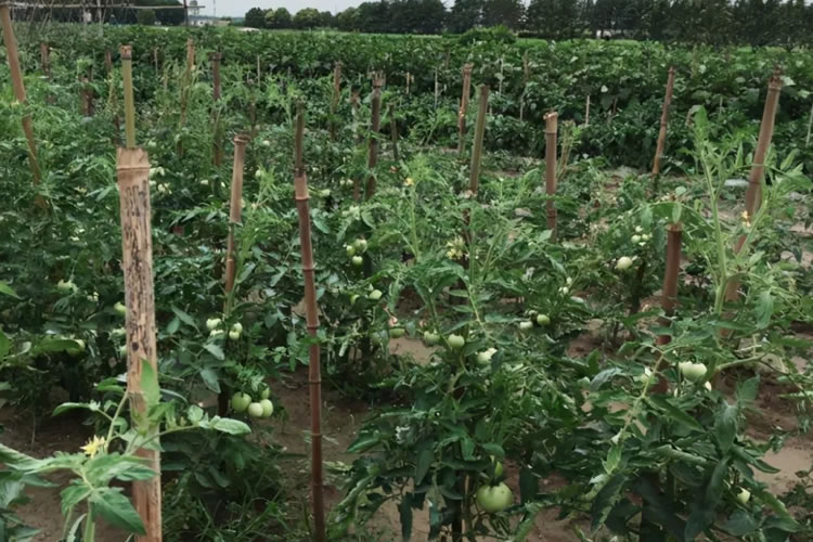 600a7cf57e05c.jpg 04.jpg