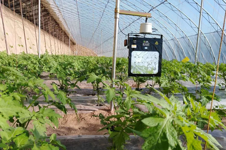 600a7d1bda56a.jpg 06.jpg