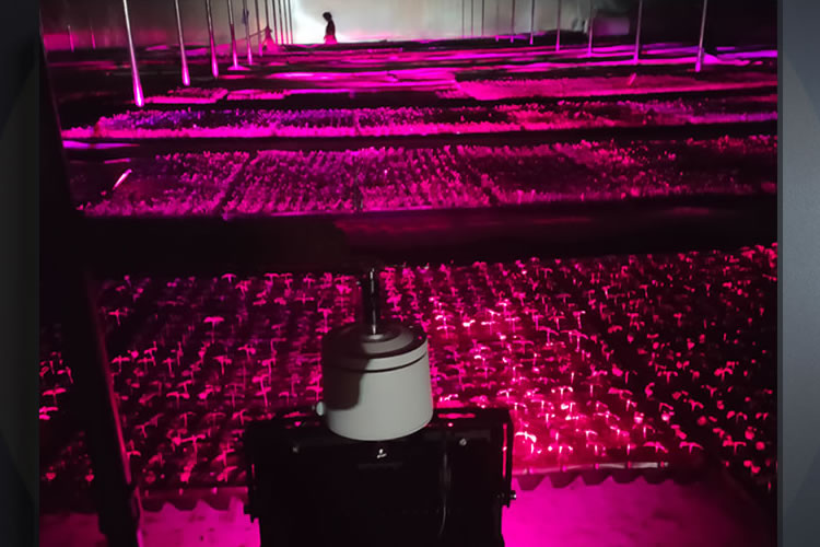 600e9049e266b.jpg 02.jpg