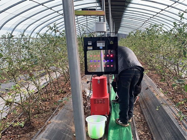 植物补光灯在汉中洋县调试安装