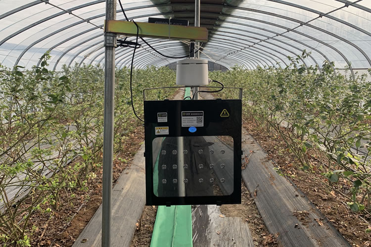 60175ef7cc731.jpg 03.jpg