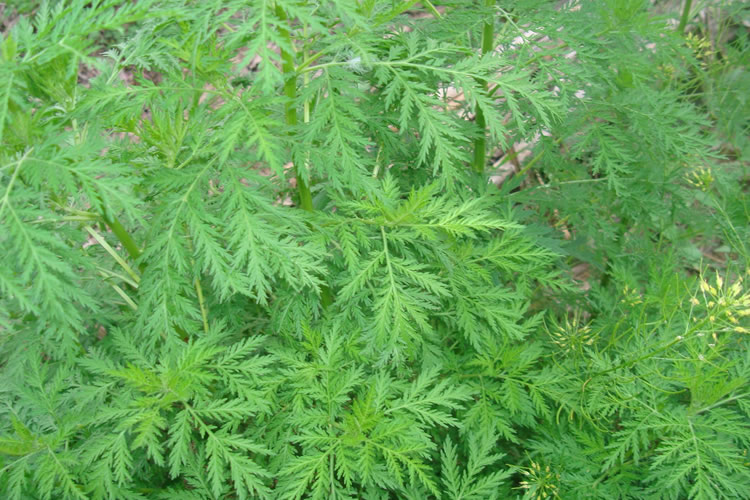 601b53aa82376.jpg 03.jpg