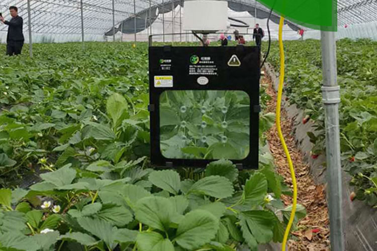 601b53c27461e.jpg 01.jpg