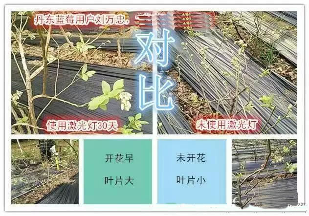 602a356732a79.jpg 02.jpg