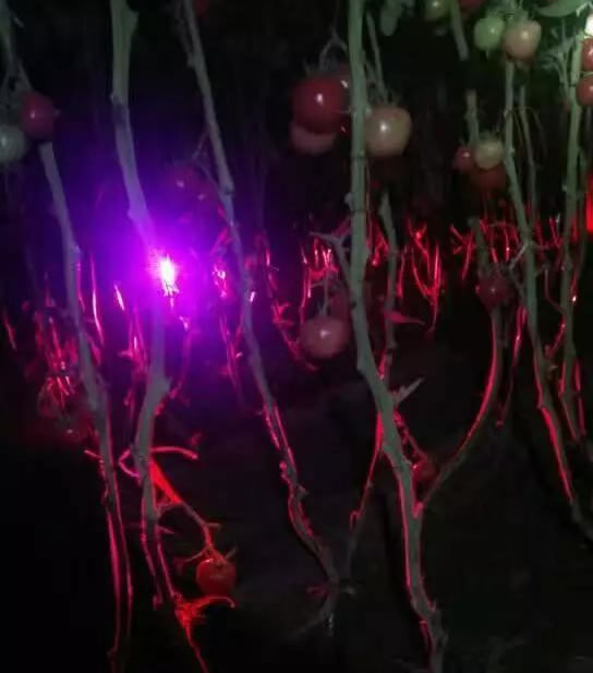 602a357a27427.jpg 03.jpg