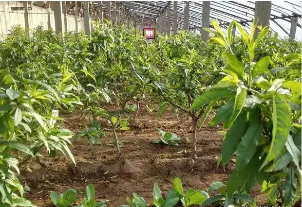 602a3597675c0.jpg 06.jpg