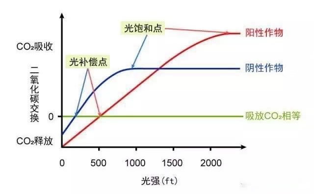 603c8e3f04f65.jpg 01.jpg