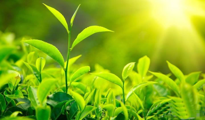 603c8e494db10.jpg 02.jpg