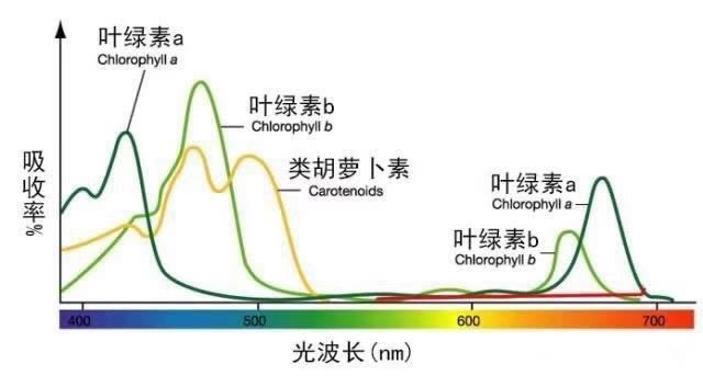 603c8e8622eff.jpg 06.jpg