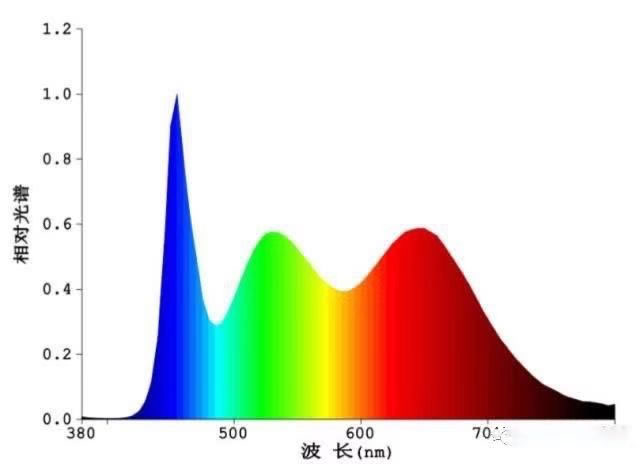 603c8ea59bbbe.jpg 08.jpg