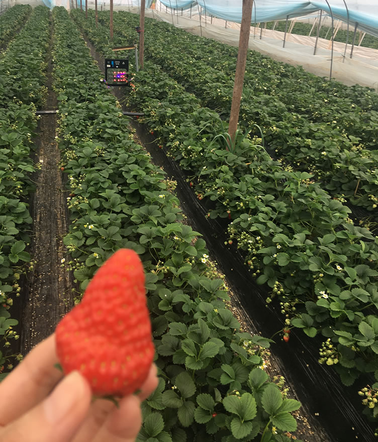 6045a564aa900.jpg 01.jpg