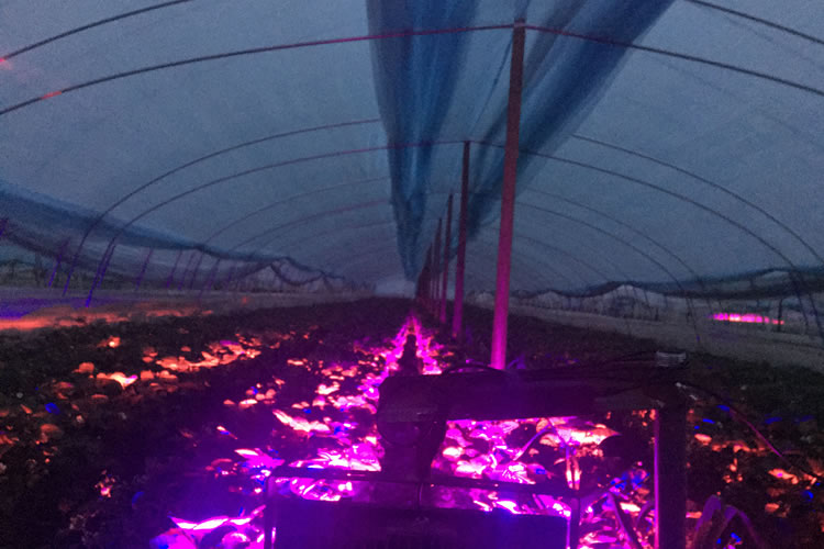 6045a56cb9389.jpg 02.jpg