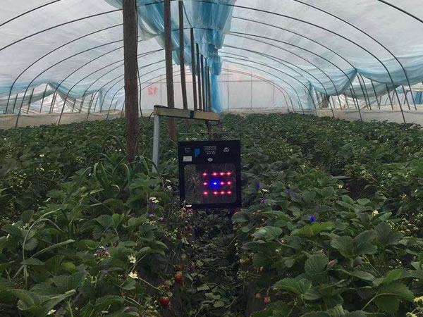 激光植物补光灯如何选择效果好？