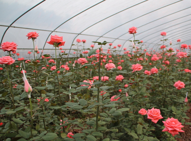 604f1d01b4faf.jpg 1615797389(1).jpg